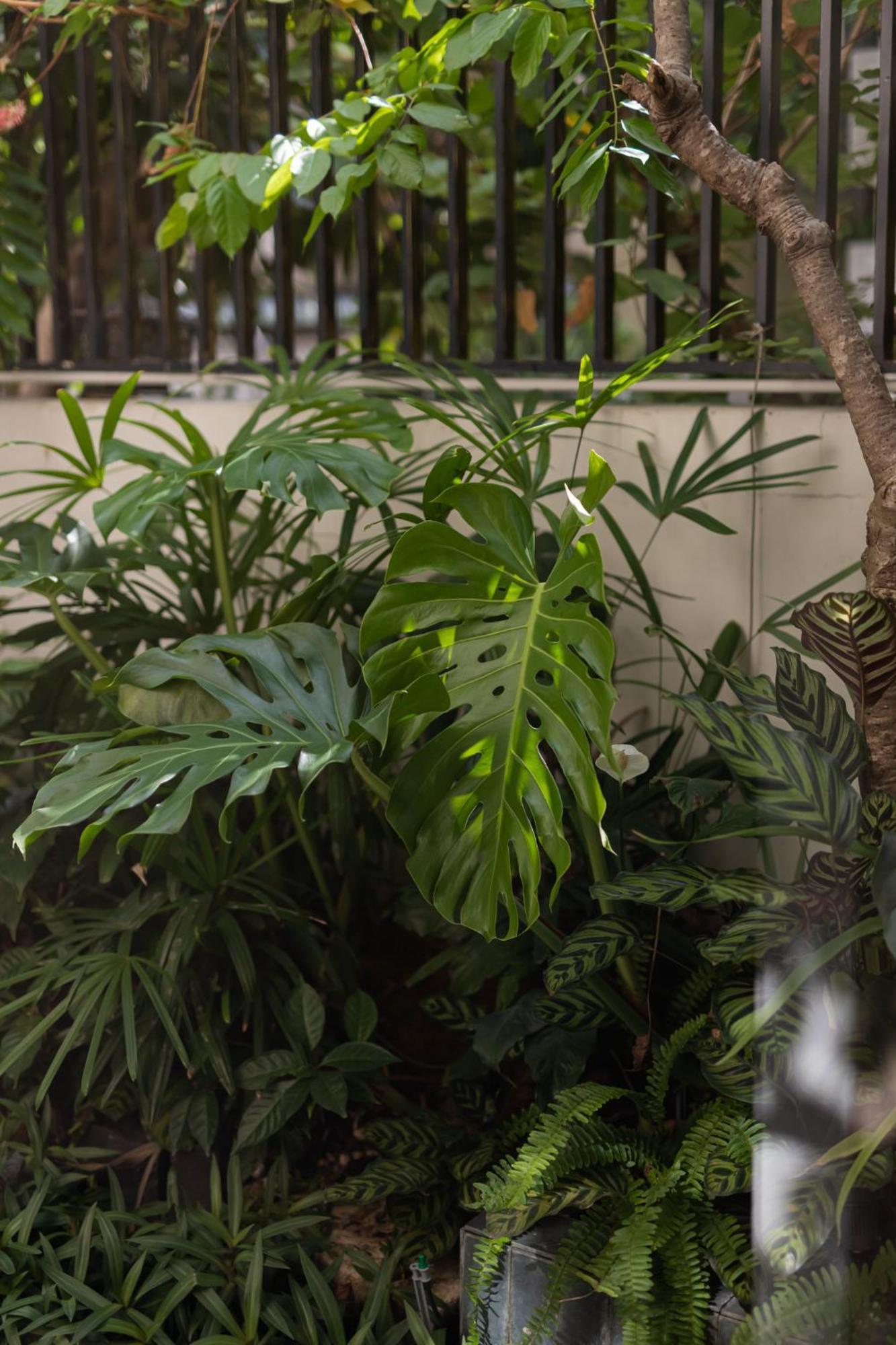 Aparthotel S Ho Chi Minh City